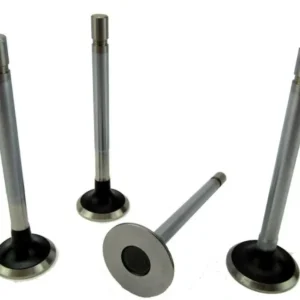 Volvo Penta 2002 Cylinder Head Valve Set