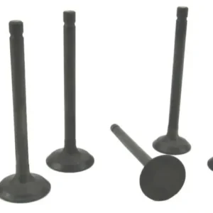 Volvo Penta D1-20 Cylinder Head Valve Set