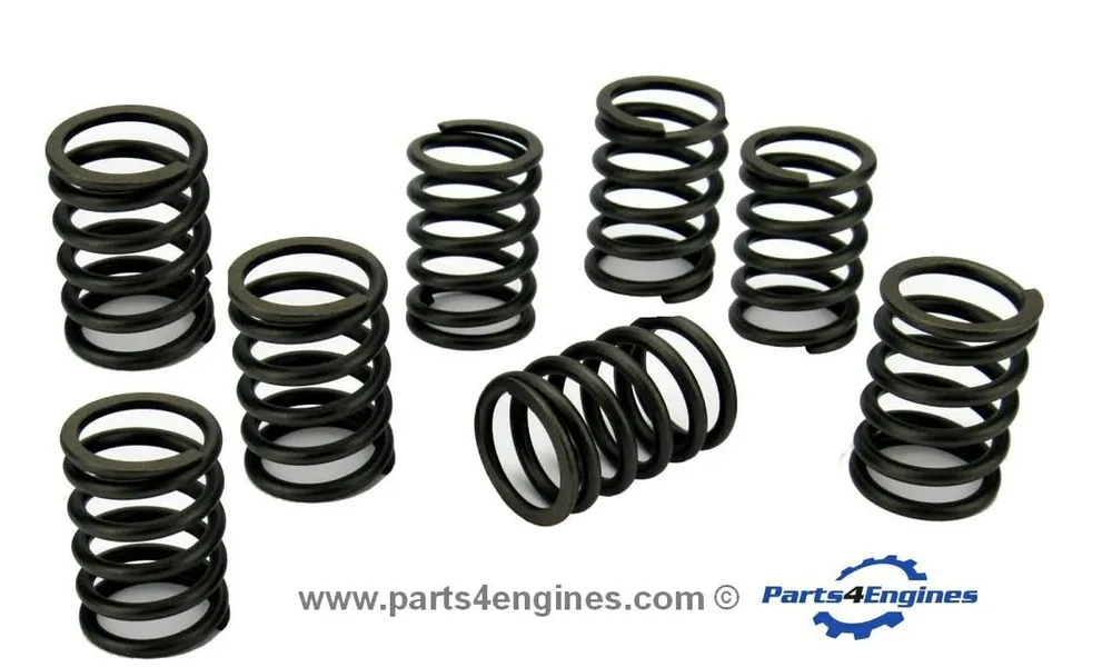 Volvo Penta D2-40 Valve Spring Set (3580964)