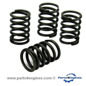 Volvo Penta MD2010 Valve Spring Set