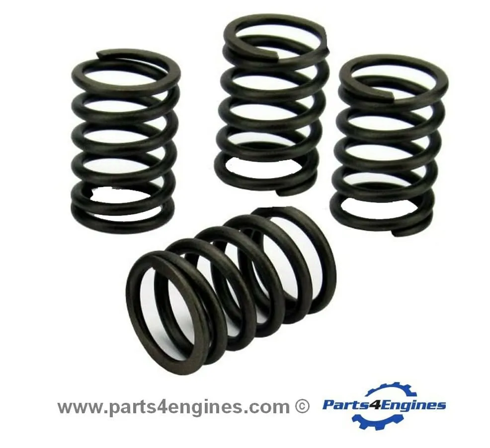 Volvo Penta MD2010 Valve Spring Set