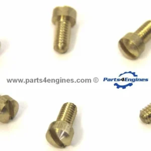 Volvo Penta Puur Water Pump Screws - equivalent to 21951302