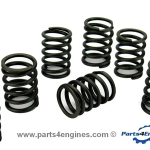 Volvo Penta D2-55 Valve Spring Set (3580964)