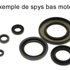 Kit retenes de motor PIAGGIO 125 ATLANTIC 125/200 03-04 4T SCARABEO 125/200 880A203SR