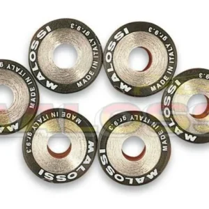 6 Rodillos Malossi HTRoll Ø19x17 gr.07,7 Ø19X17 GR.07,7 66 9456.E0
