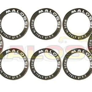 8 Rodillos Malossi HTRoll Ø20x12 gr.11 Ø20X12 GR.11 66 9919.G0