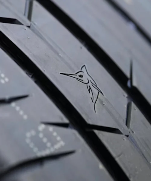 R21 TEMPESTA P1 - 325/30R21