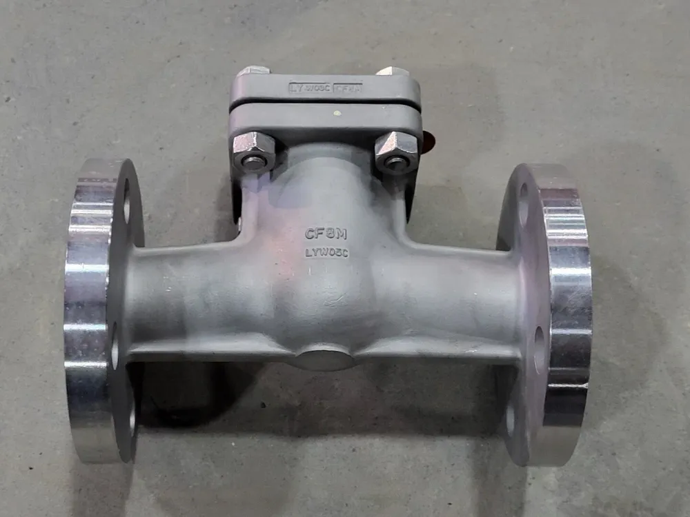 1-1/2" Class 300 Swing Check Valve F07-1114C-13GX