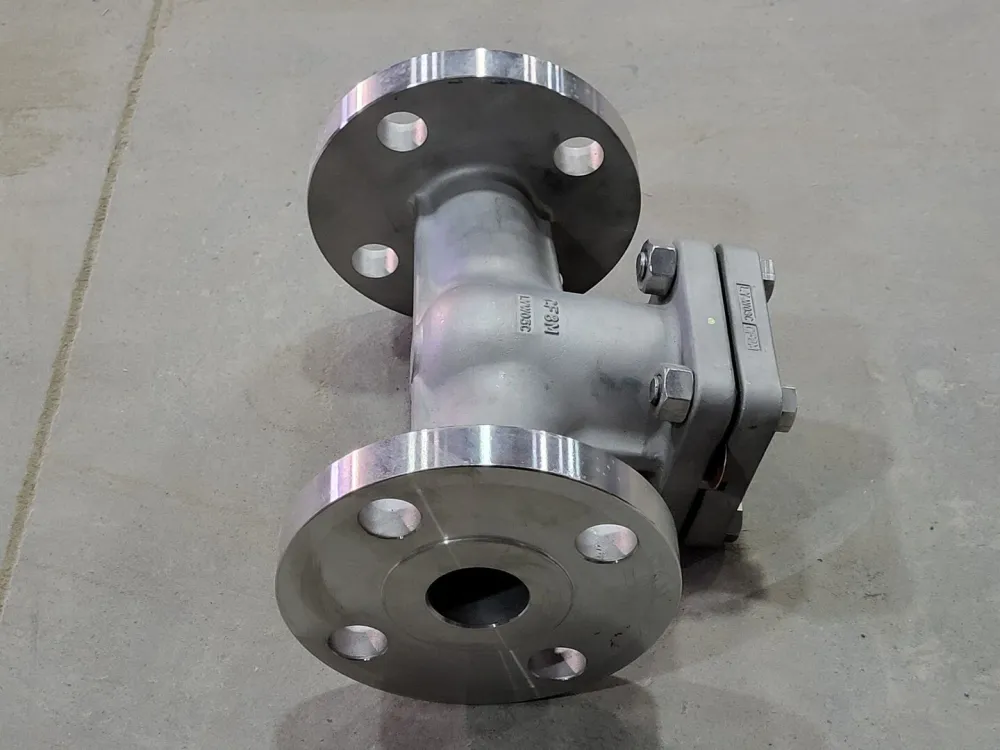 1-1/2" Class 300 Swing Check Valve F07-1114C-13GX