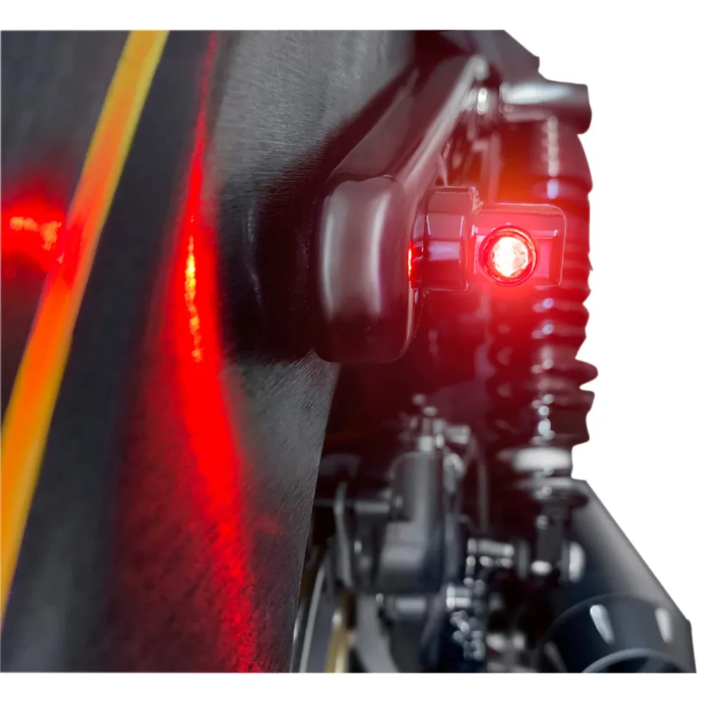 OEM Kwaliteit Intermitentes Freno y Posición Homologado 3 En 1 Para Harley-Davidson