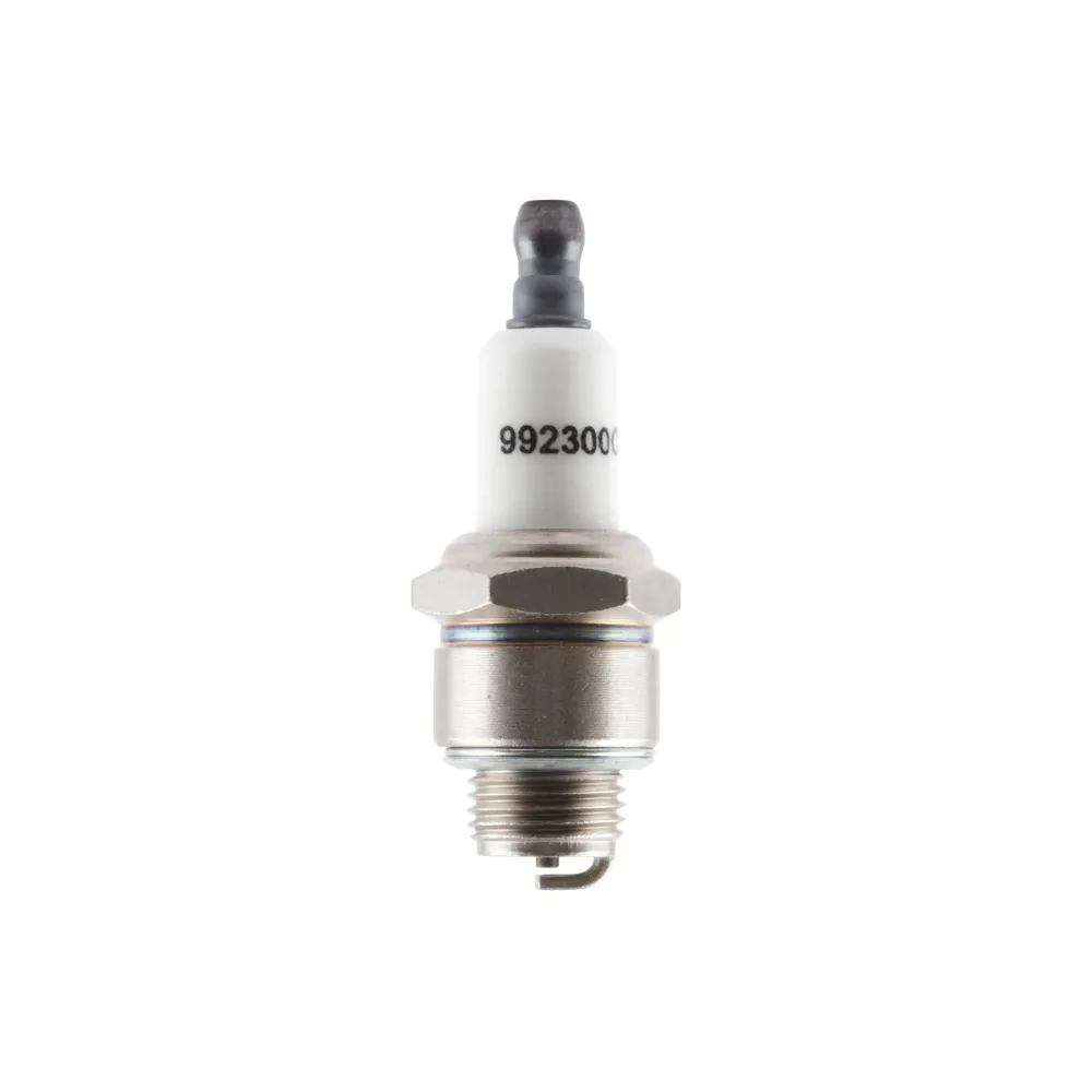Briggs & Stratton 591868 Spark Plug voor APK-keuring