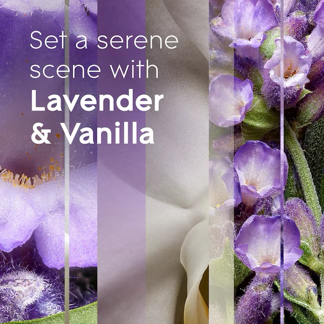 Glade Scented Oil 0.67-fl oz Lavender Vanilla Refill Air Freshener set van twee