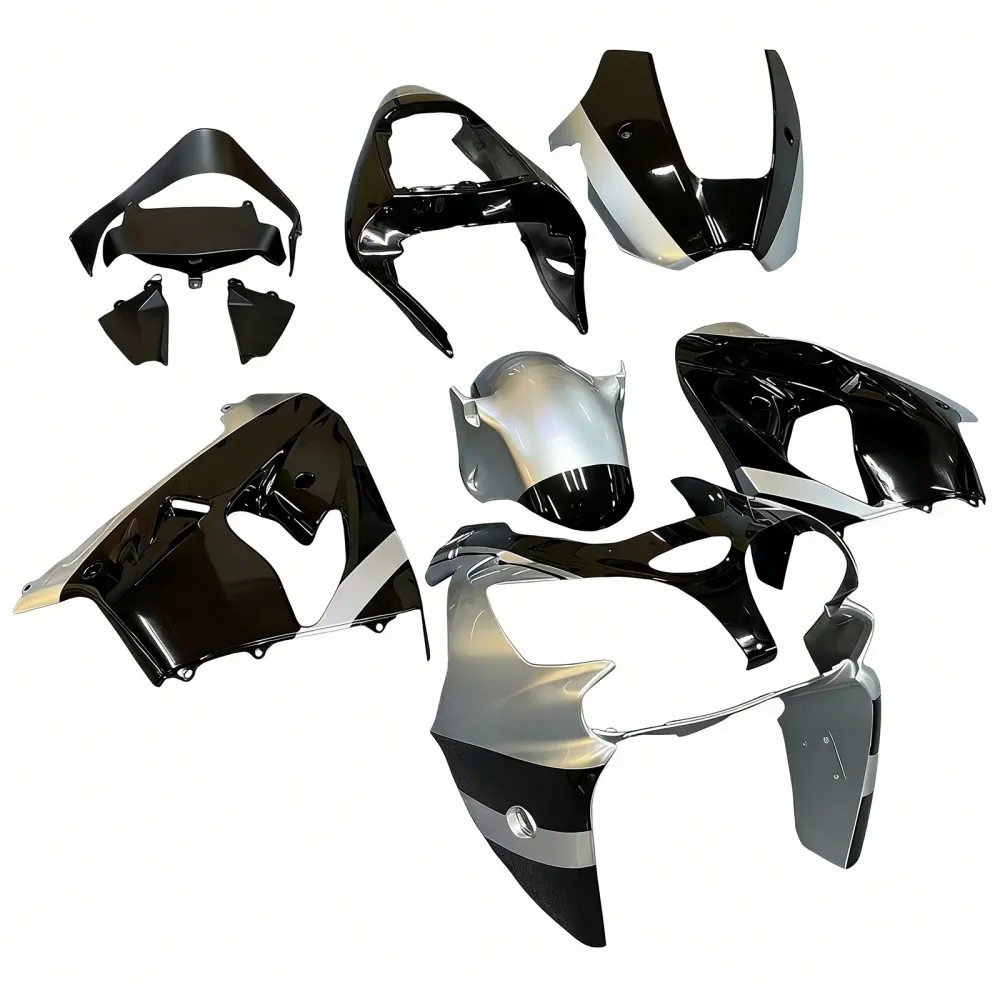 Amotopart 2002-2003 Kawasaki ZX9R Black Gray Fairing Kit