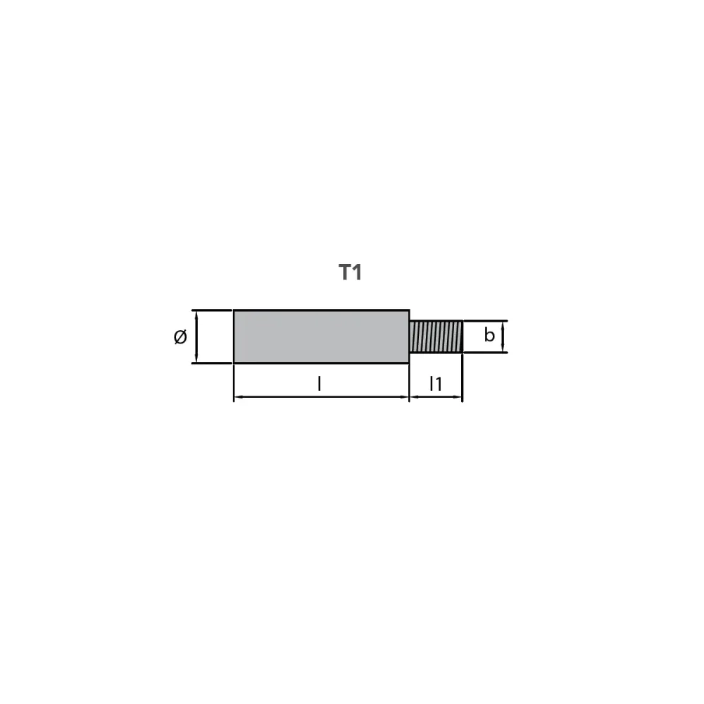 Baudouin anode, motor, Ø 20 L.45 M8