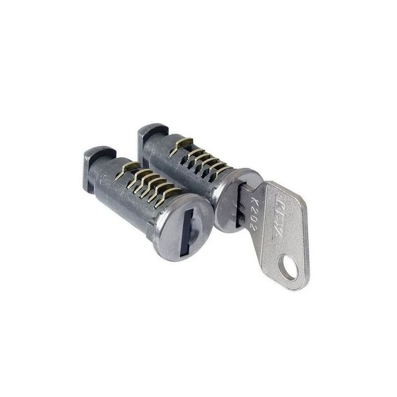 Cruz 2 anti diefstal slot