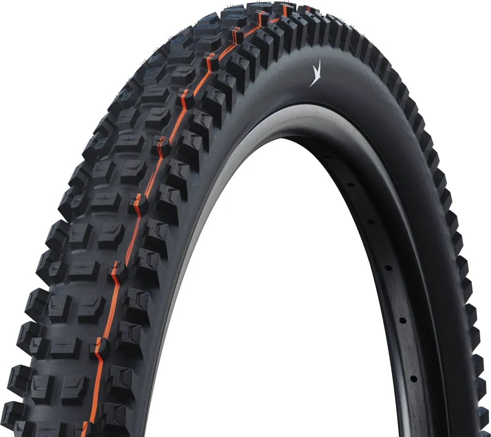 SCHWALBE ALBERT GRAVITY PRO EVO TLR SOFT 29X2.60 (65-622) cubestores.nl