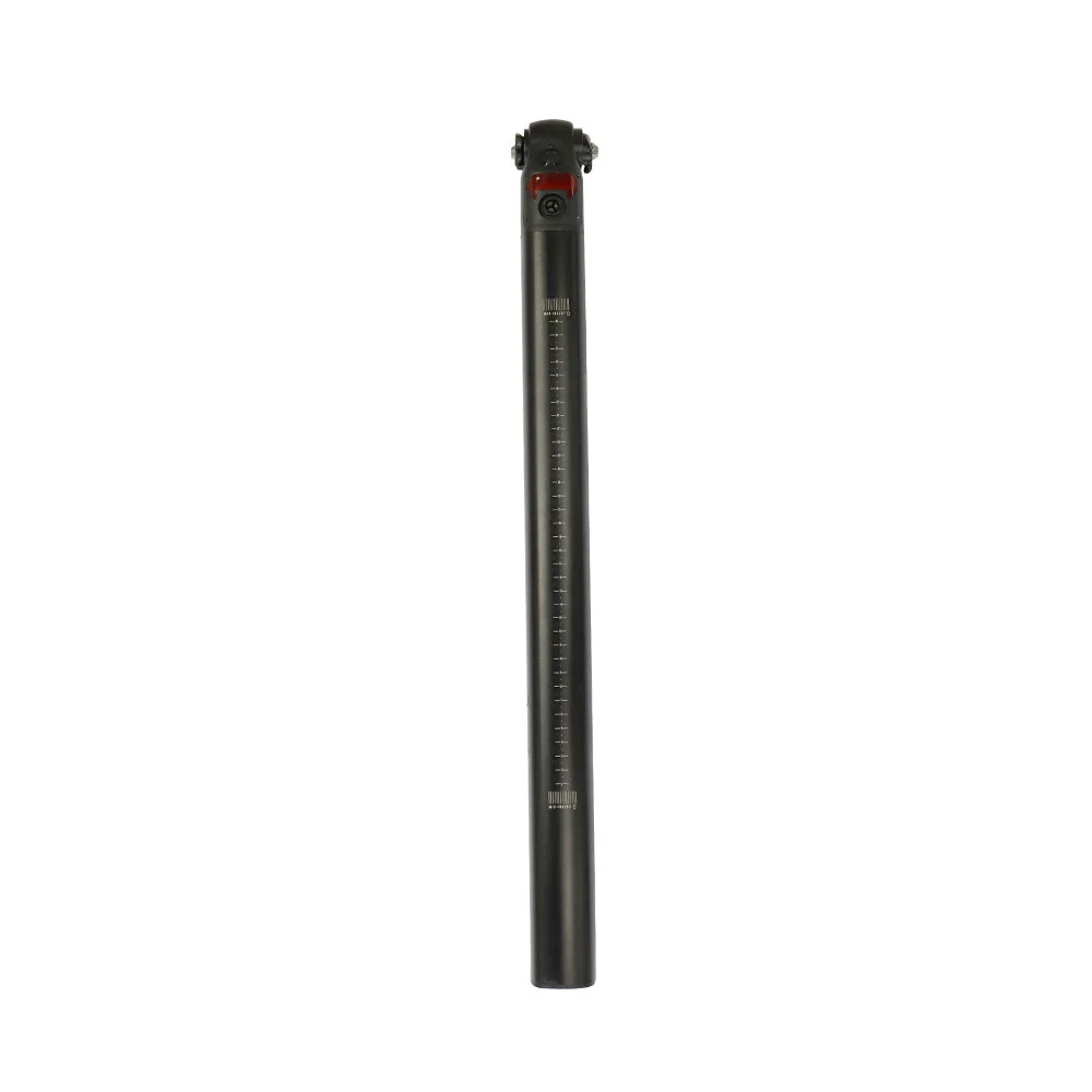 Fiido Electric Bike Extra Batterij voor D21