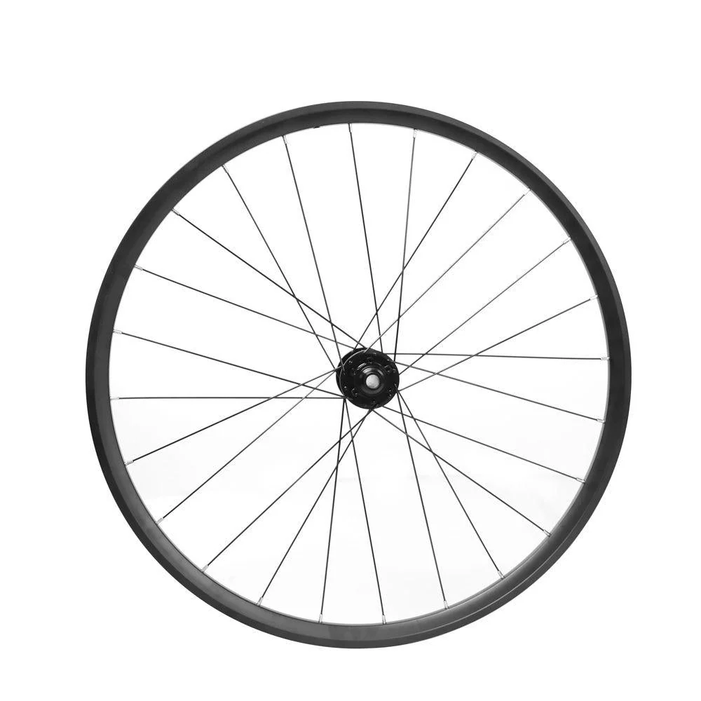 Voorwielcomponent voor C21/Air/C22 Fiido EU