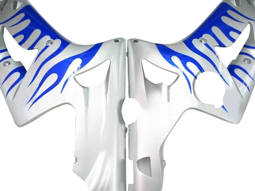 Amotopart 2003-2004 Kawasaki ZX6R Kuip Zilver&Bblauwe vlammenset