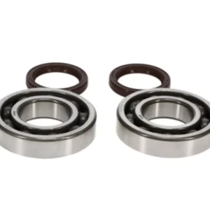 PROX Crankshaft Bearing & Oil Seal Kit