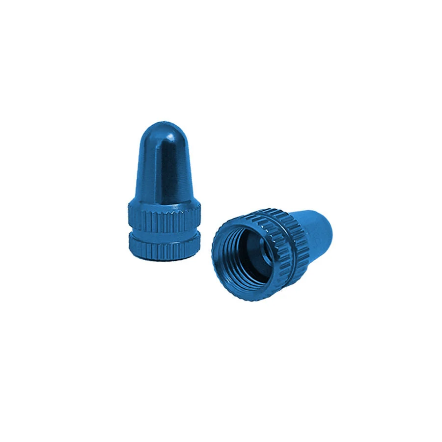 RFR Ventieldop SV/AV blauw
