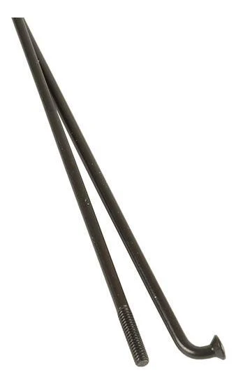Sapim 2 x 262 mm RVS fietsspaak