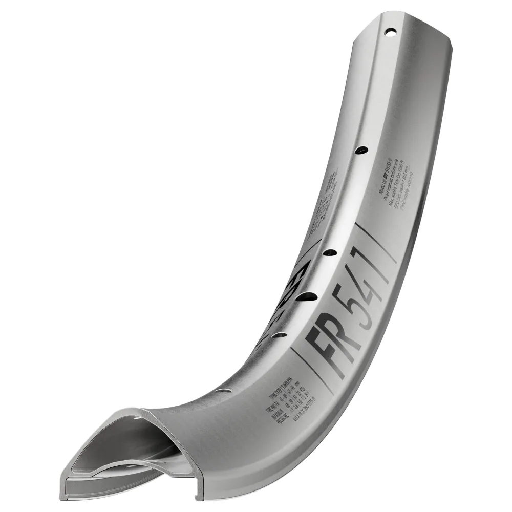 DT SWISS FR 541 29'' 30 mm Zilveren velg