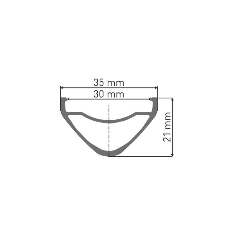 DT SWISS FR 541 29'' 30 mm Zilveren velg