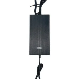 Wolong Flowstar Snellader 10A 48Volt