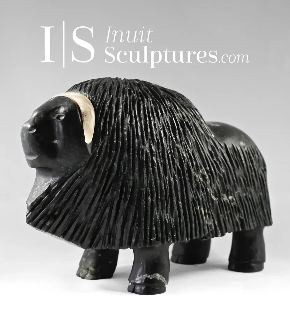 11" Muskox Louie Uttaq Gjoa Haven *Mighty*