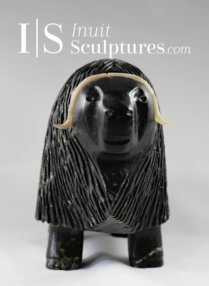 11" Muskox Louie Uttaq Gjoa Haven *Mighty*